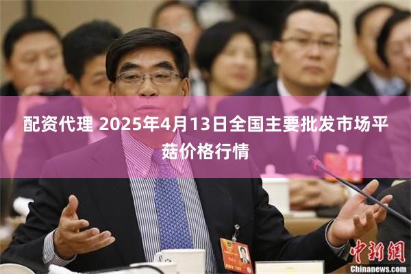 配资代理 2025年4月13日全国主要批发市场平菇价格行情