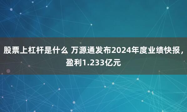 股票上杠杆是什么 万源通发布2024年度业绩快报，盈利1.233亿元