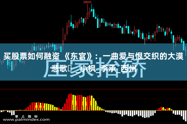 买股票如何融资 《东宫》：一曲爱与恨交织的大漠悲歌​_小枫_李承_西州