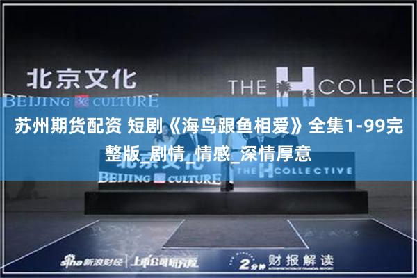 苏州期货配资 短剧《海鸟跟鱼相爱》全集1-99完整版_剧情_情感_深情厚意