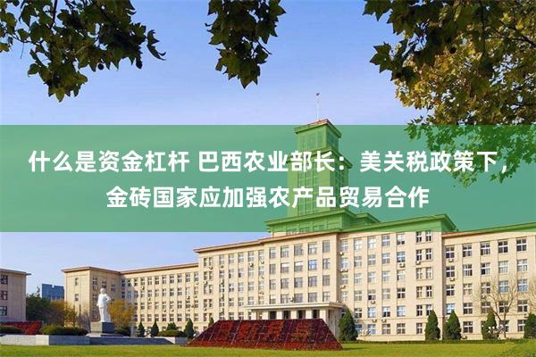 什么是资金杠杆 巴西农业部长：美关税政策下，金砖国家应加强农产品贸易合作