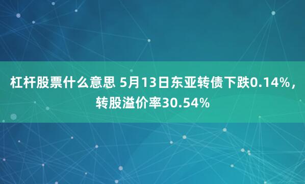 杠杆股票什么意思 5月13日东亚转债下跌0.14%，转股溢价率30.54%