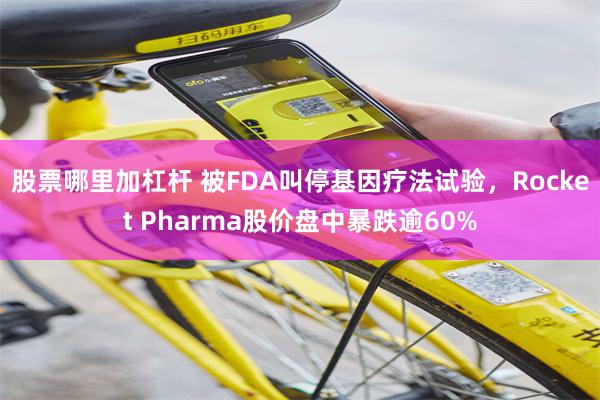 股票哪里加杠杆 被FDA叫停基因疗法试验，Rocket Pharma股价盘中暴跌逾60%