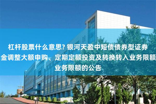 杠杆股票什么意思? 银河天盈中短债债券型证券投资基金调整大额申购、定期定额投资及转换转入业务限额的公告