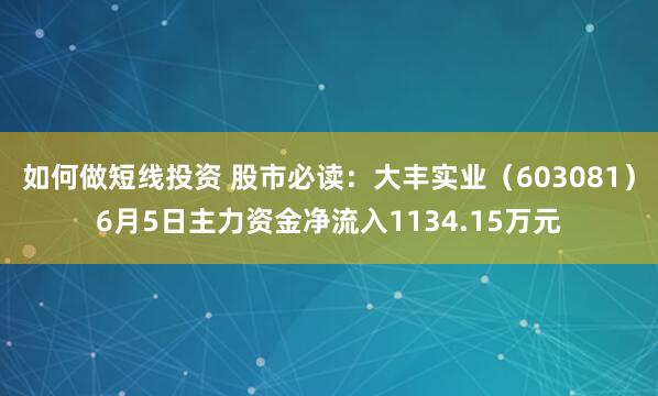 如何做短线投资 股市必读：大丰实业（603081）6月5日主力资金净流入1134.15万元