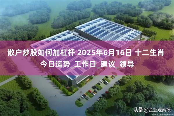 散户炒股如何加杠杆 2025年6月16日 十二生肖 今日运势_工作日_建议_领导