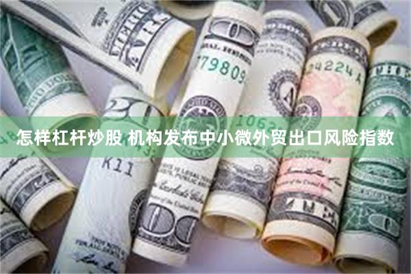 怎样杠杆炒股 机构发布中小微外贸出口风险指数