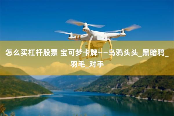 怎么买杠杆股票 宝可梦卡牌——乌鸦头头_黑暗鸦_羽毛_对手