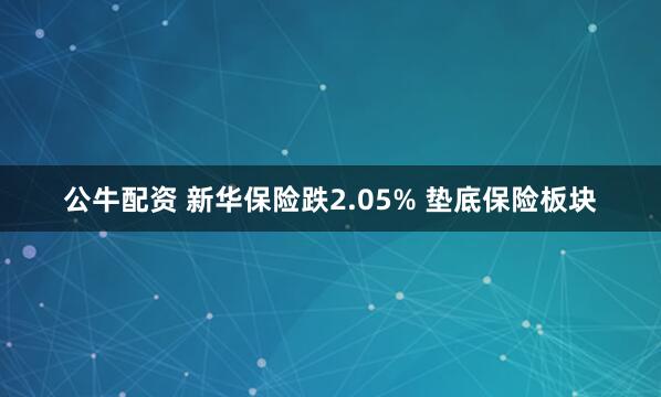 公牛配资 新华保险跌2.05% 垫底保险板块