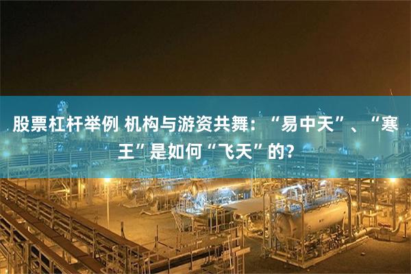 股票杠杆举例 机构与游资共舞：“易中天”、“寒王”是如何“飞天”的？